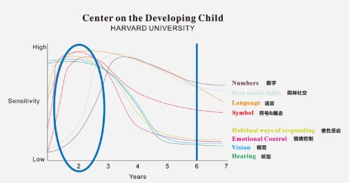 哈佛大学儿童成长研究所的报告